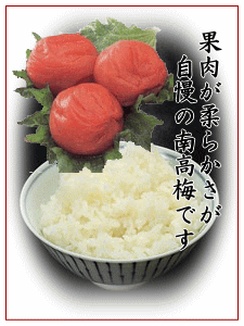 �I�B�썂�~�C���[�W